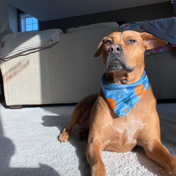 🔆MEET YOUR SELLER!🔆 - Picture 8 of 14